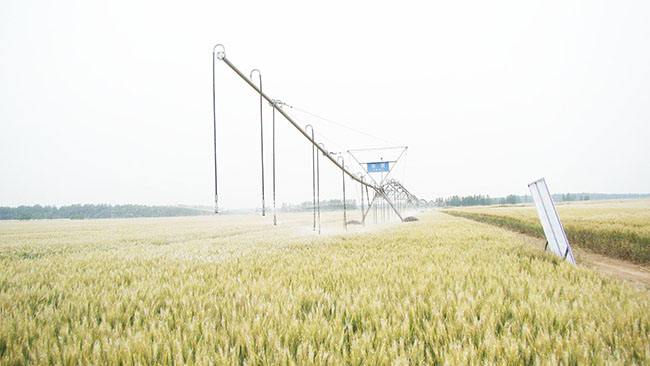 小麥節水噴灌